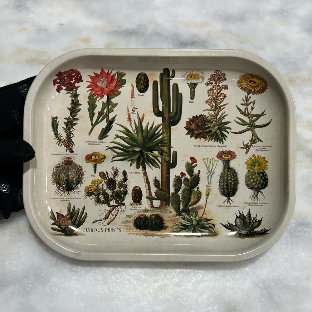 Vintage Small Metal Cactus Tray